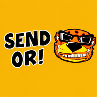 Cheetah SEND OR meme